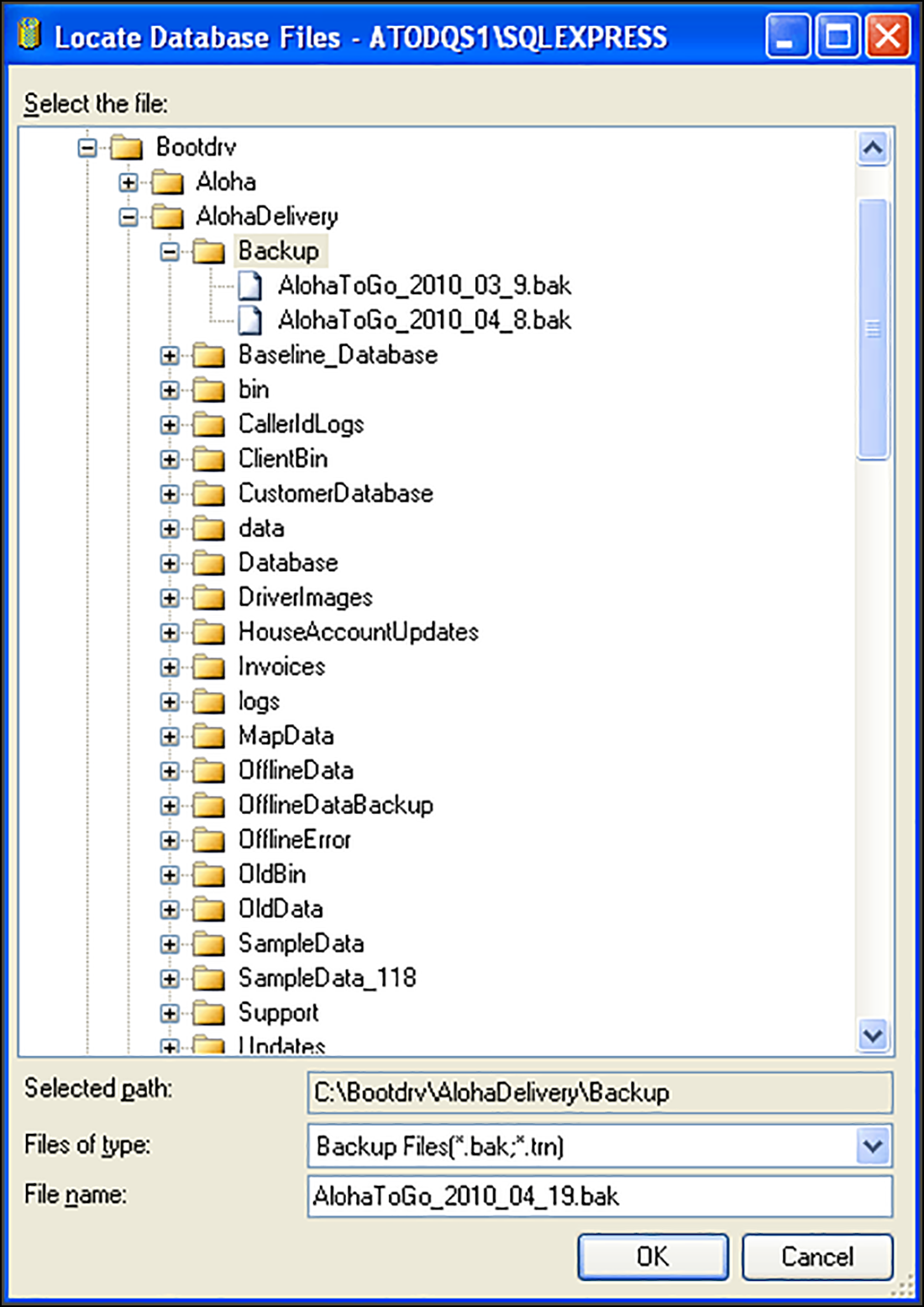 SQL_Database_Backup_FileName.png