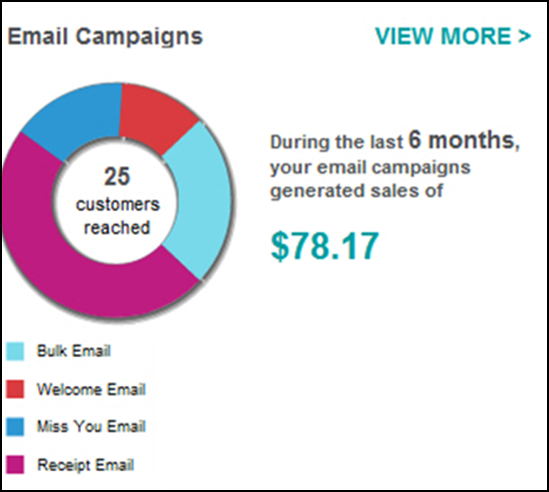 MyStore_ActivitySummary_EmailCampaigns.png